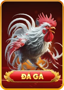 đá gà