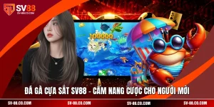 Đá Gà Cựa Sắt SV88 - Cẩm Nang Cược Cho Người Mới