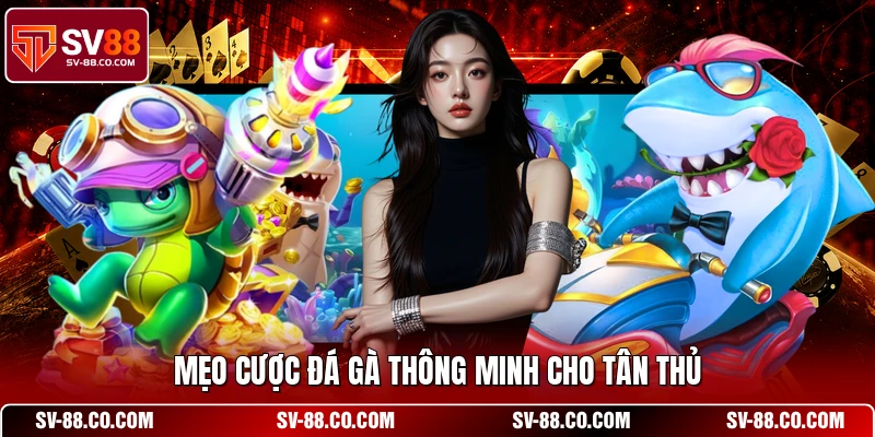 Mẹo cược đá gà thông minh cho tân thủ