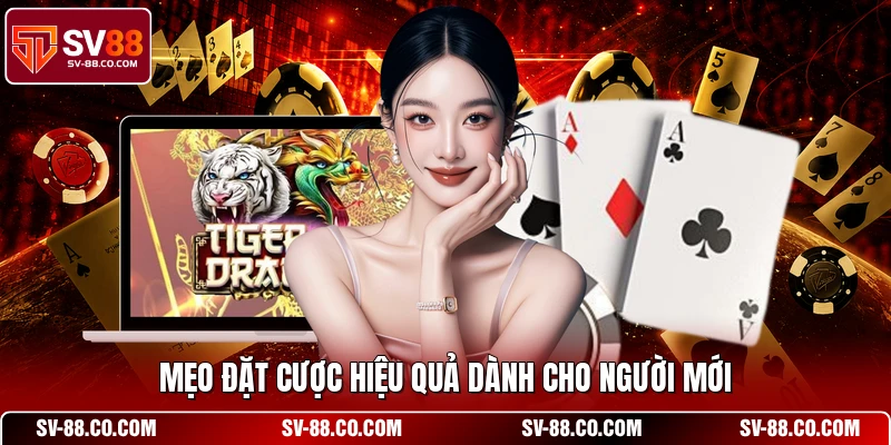 Mẹo đặt cược hiệu quả dành cho người mới