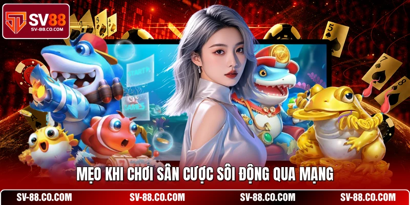 Mẹo khi chơi sân cược sôi động qua mạng
