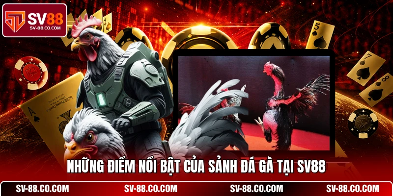 Những điểm nổi bật của sảnh đá gà tại SV88