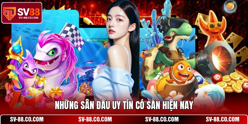 Những sân đấu uy tín có sẵn hiện nay