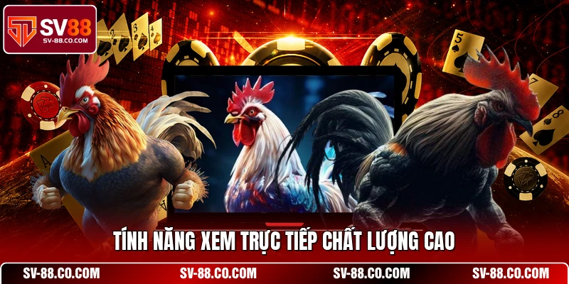 Tính năng xem trực tiếp chất lượng cao