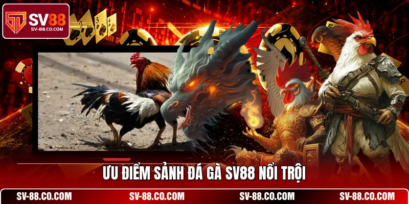 Ưu điểm sảnh đá gà SV88 nổi trội